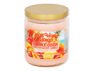 Maui Wowie Mango Candle | 13OZ