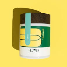 Johnny Appleseed 14g Flower