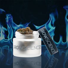 ZKTZ Cubed 3.5g Flower