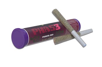 Panama Red 0.5g, Pre-Roll Pack