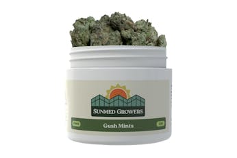 Gush Mints 3.5g, Buds