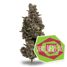 Cherry Limeade Cake 3.5g Flower