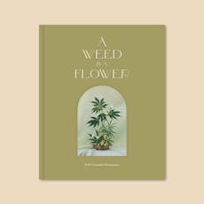 A Weed Is A Flower EACH, Book