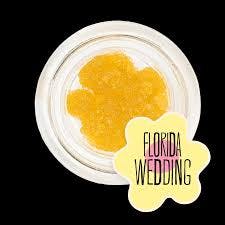 Florida Wedding 1g, Live Sugar