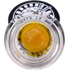 Gush Mints 1.0g Live, Rosin