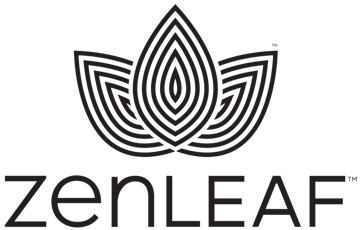 Stash Beanie Black Black