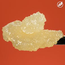 Hazy Fields 1g Live Resin (MED), Sugar