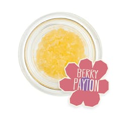 Berry Payton 1g, Live Sugar