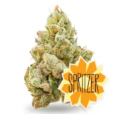 Spritzer 14g, Buds