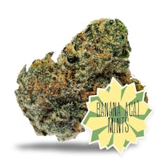 Banana Acai Mints 3.5g, Buds