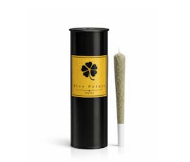 Infused Pre-Roll | Blue Andez 1g Pre-Roll