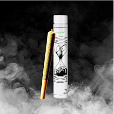 (the) Essence Pastries 1g Pre-Roll