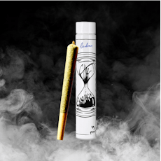 (the) Essence J's Starkiller 1g Pre-Roll