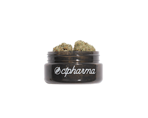 CTPharma Modified Haze 3.5g Flower