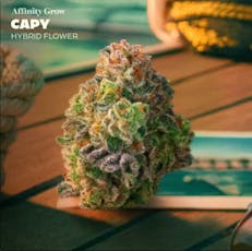 Affinity Capy 3.5g Flower