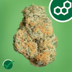 Theraplant Black Cherry GMO 3.5g Flower