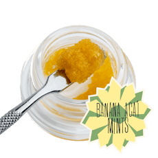 District Cannabis Banana Acai Mints Badder 1.0g Live