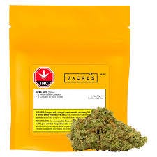 7ACRES - 7ACRES ULTRA JACK - 7 GRAM