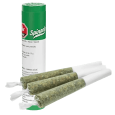 SPINACH - BLUE DREAM PRE-ROLL - 3 x 0.5g