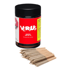 VERSUS - SATIVA JAR OF JS PRE-ROLLS - 20 x 0.35g