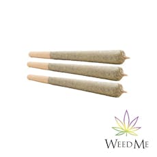 WEED ME - CINDY JACK PRE-ROLLS - 3 0.5