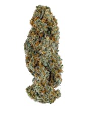 COAST MOUNTAIN CANNABIS - BC ORGANIC LILAC DIESEL - 3.5 - GRAM