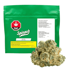 SPINACH - SPACE CAKE - 28 GRAM