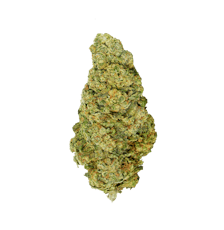 Back Forty - Galactic Jack 7g Sativa Whole Flower