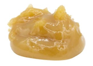 EarthWolf Farms - Northern Apple Jaxx - 1g Hybrid Resin & Rosin