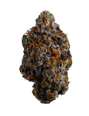 COAST MOUNTAIN CANNABIS - BC ORGANIC LEMON CHERRY PIE - 3.5 - GRAM