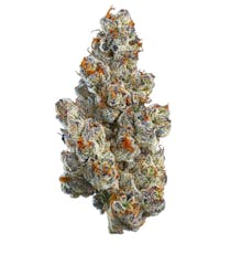 COAST MOUNTAIN CANNABIS - BC ORGANIC BLING BLAOW - 3.5 - GRAM