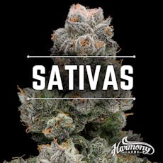 Harmony - AK-47 3.5g