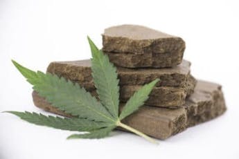 Hash - 47 Grape St. - 1g