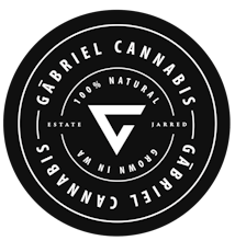 Gabriel G-Stick (1g) -G Markers