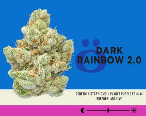 Skord - Dark Rainbow 3.5g