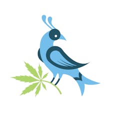 Humboldt Uppercut (Fenario)