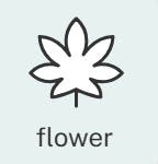 Lemon Cherry Fire by Atrium