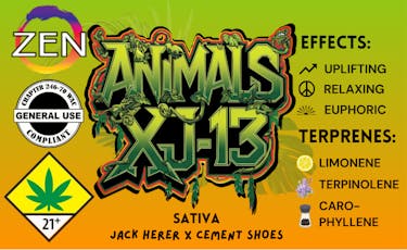 Animals XJ-13
