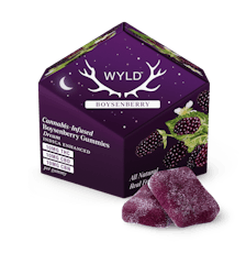 Wyld Gummies Boysenberry 1:1:1 THC:CBD:CBN 10pk