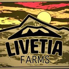 Hash Burger 0.5g AIO (Livetia)
