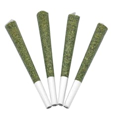 EQU-AK-47 8pk Infused Pre-Roll 4g