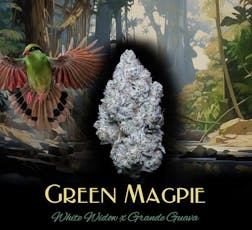 Green Magpie