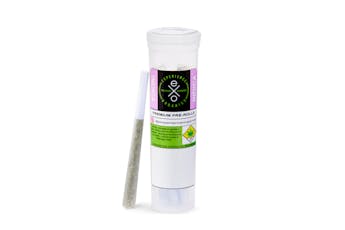 Cheddar Cheeze - 2.5g - 5 Pack Pre-Rolls - Experience Organics