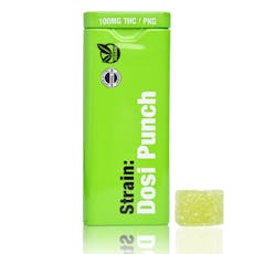 DRP:: Lime - Live Rosin Solventless Gummies | 20pk