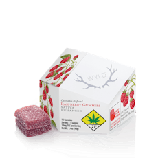 WYLD:: Raspberry Sativa Fruit Chew | 10 Pack