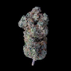 Bacon's Bud - Packaged Flower - Legend of Nigeria - 3.5g