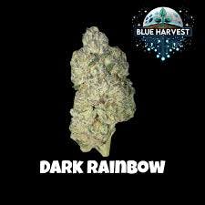 Blue Harvest | Wholes | Dark Rainbow | 3.5g