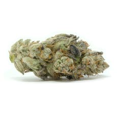 SWF-Sugar Lemon Scone 1g