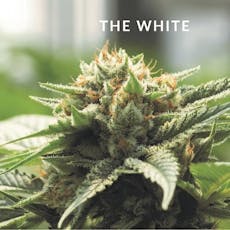 The White