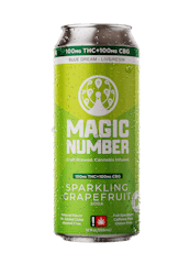 Seltzer | Grapefruit 1:1 100mg